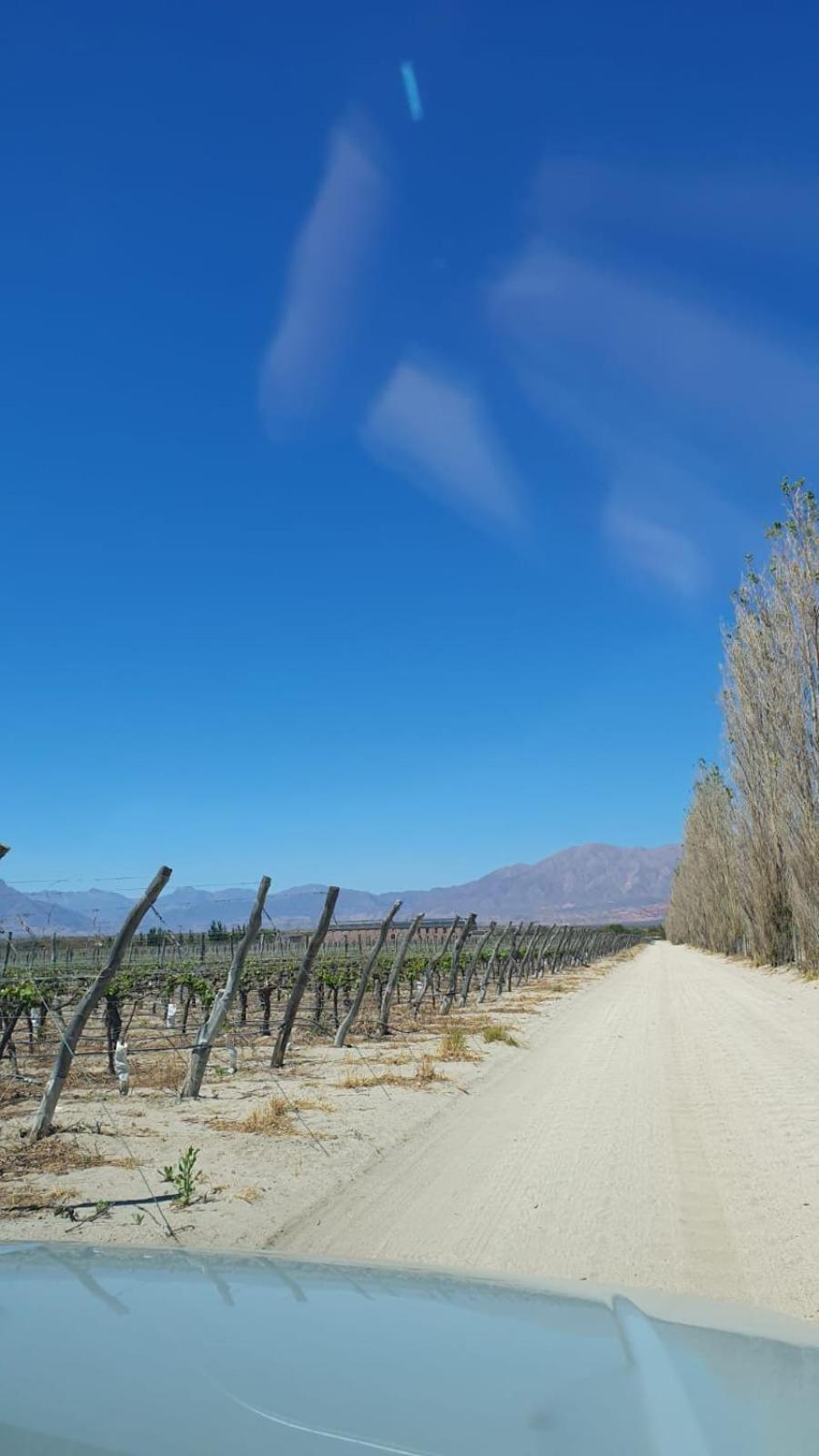 Waytay Villa Cafayate Eksteriør billede